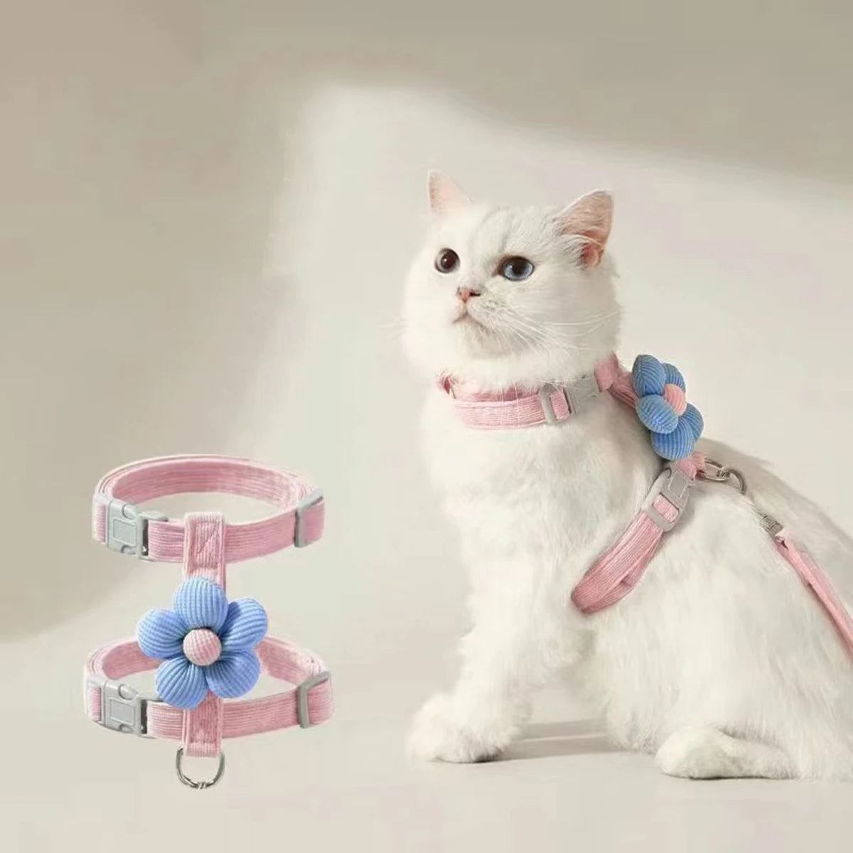 Harnais Laisse Chat Mignon MonAmiFidèle