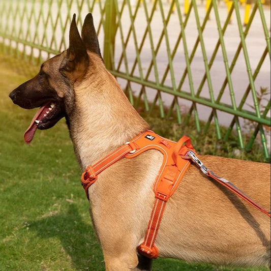 TRUE LOVE Pet Harness No Pull Nylon Reflective Dog Harness Adjustable Comfortable Control Step-in Brilliant Truelove TLH5654 MonAmiFidèle