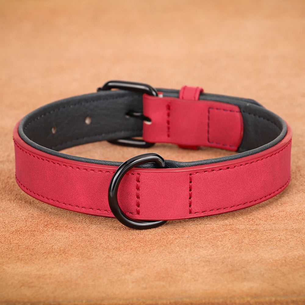 Collier cuir grand Chien MonAmiFidèle