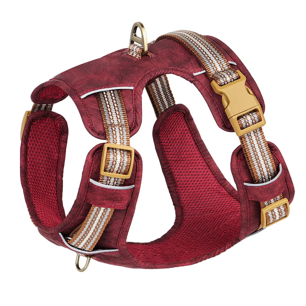 Harnais pour Chien Design MonAmiFidèle