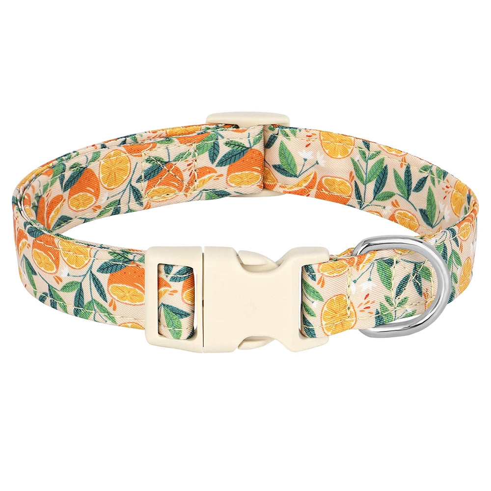 Collier pour Chien avec motif MonAmiFidèle