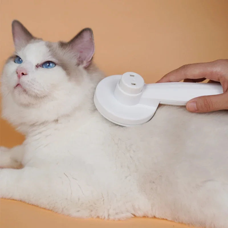 Brosse pour Chat MonAmiFidèle