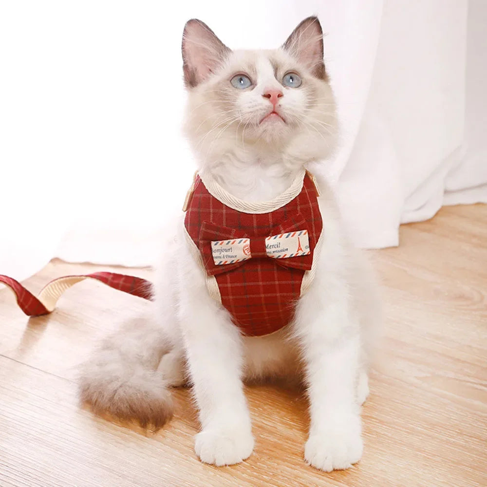 Harnais Laisse pour Chat Noeud Papillon MonAmiFidèle