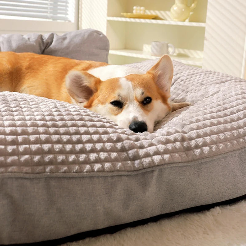 Panier XXL pour Chien MonAmiFidèle