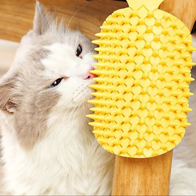 Grattoir Chat d'angle Ananas MonAmiFidèle