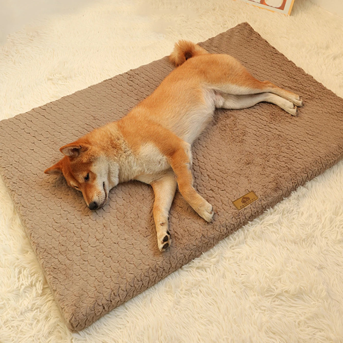 Tapis pour Chien MonAmiFidèle