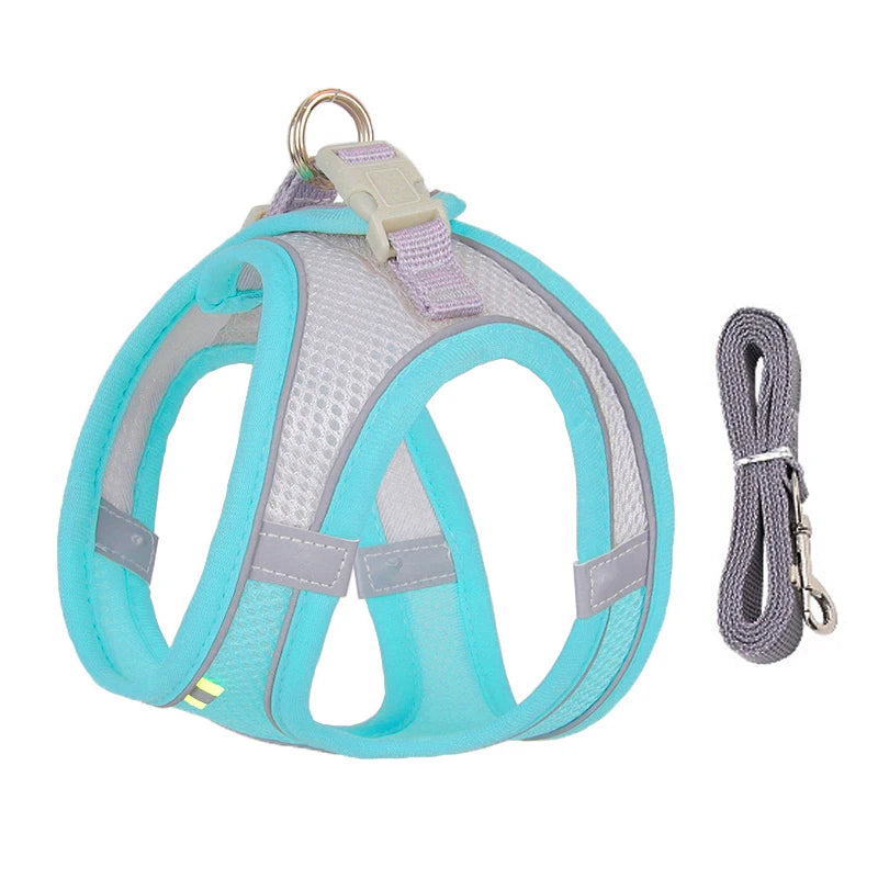 Harnais pour petit Chien MonAmiFidèle