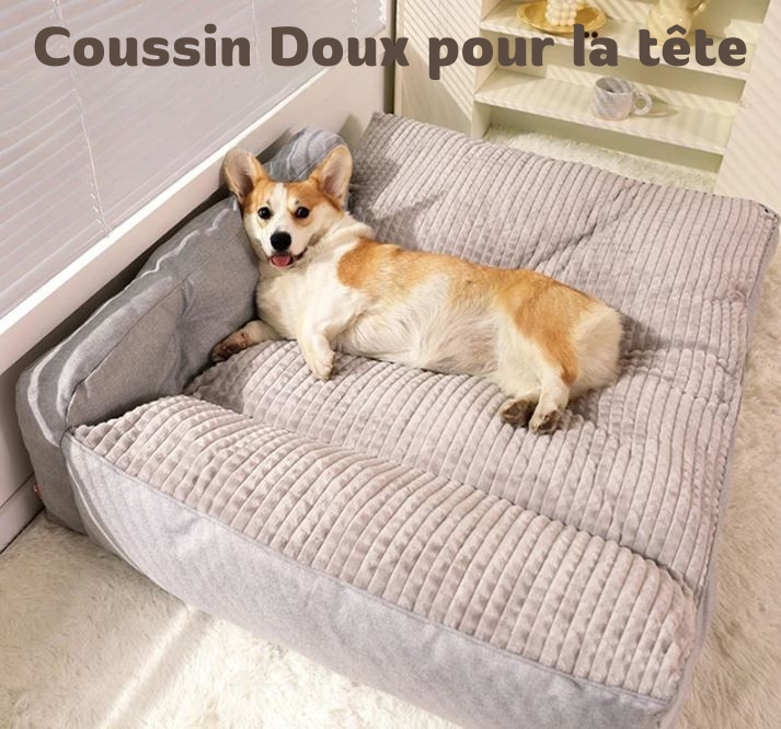 Panier XXL pour Chien MonAmiFidèle