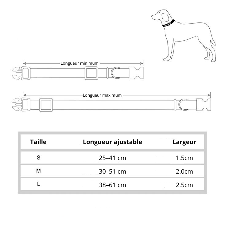 Collier pour Chien avec motif MonAmiFidèle