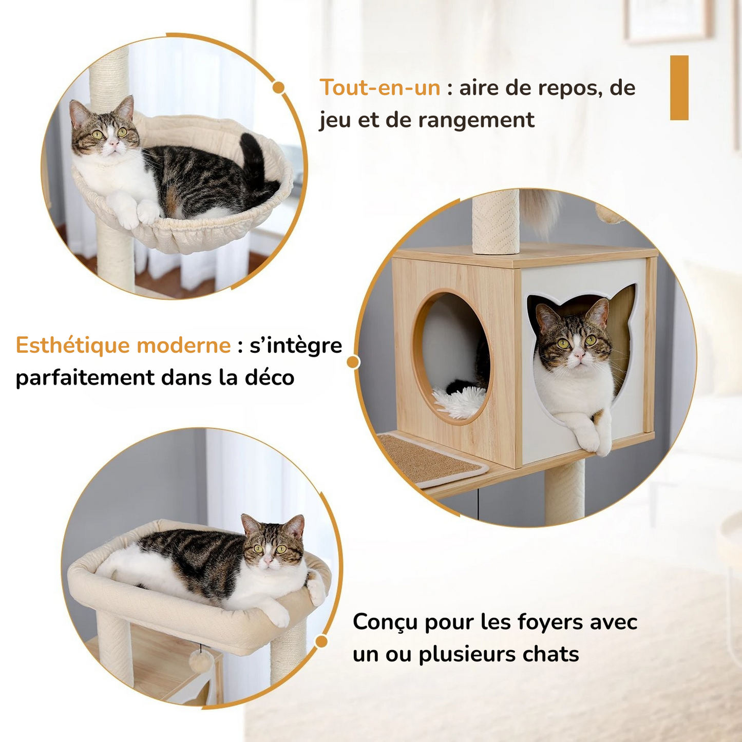 Grand Arbre à Chat en bois MonAmiFidèle
