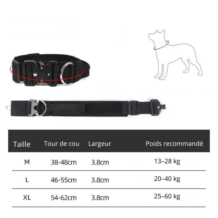 Collier pour gros Chien MonAmiFidèle