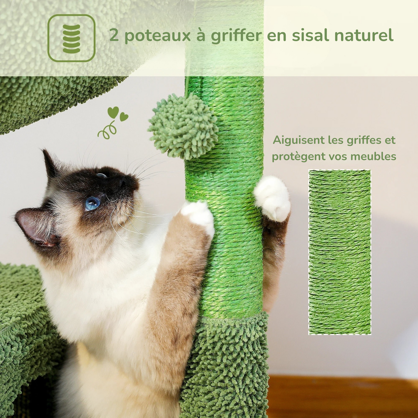 Arbre à Chat Cactus MonAmiFidèle