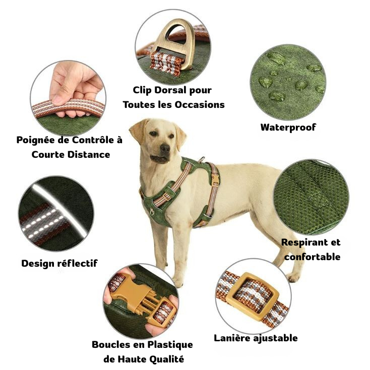 Harnais pour Chien Design MonAmiFidèle