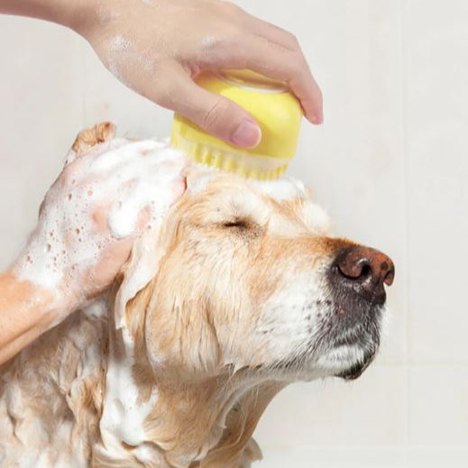 Brosse de bain pour Chien MonAmiFidèle