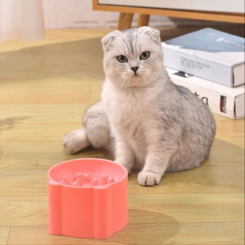 Gamelle anti glouton Chat MonAmiFidèle