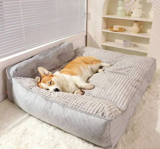 Panier XXL pour Chien MonAmiFidèle