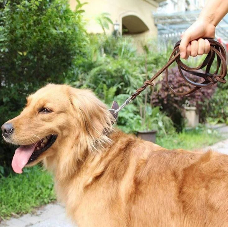 Laisse en cuir Chien MonAmiFidèle