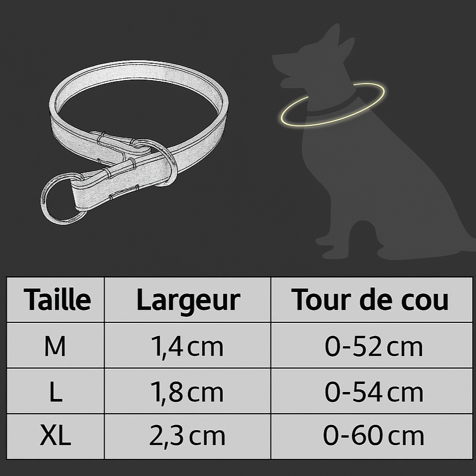Collier coulissant Chien MonAmiFidèle