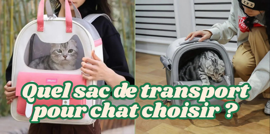 Quel-sac-de-transport-pour-chat-choisir MonAmiFidèle