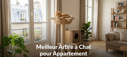 Meilleur Arbre à Chat pour Appartement : Guide Complet 2026 MonAmiFidèle