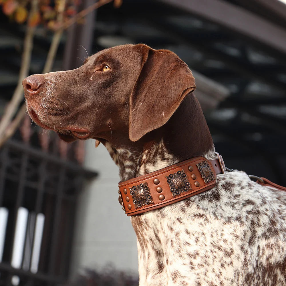 Collier pour Chien MonAmiFidèle