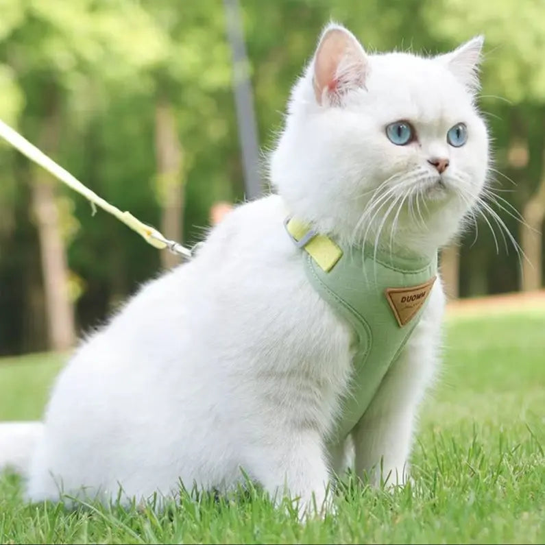 Harnais pour Chat MonAmiFidèle