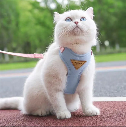 Harnais pour Chat MonAmiFidèle