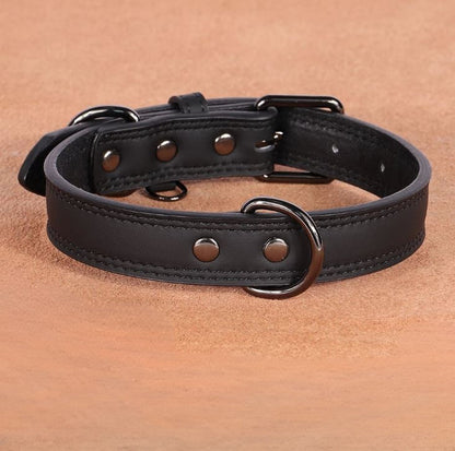 Collier en cuir pour Chien MonAmiFidèle