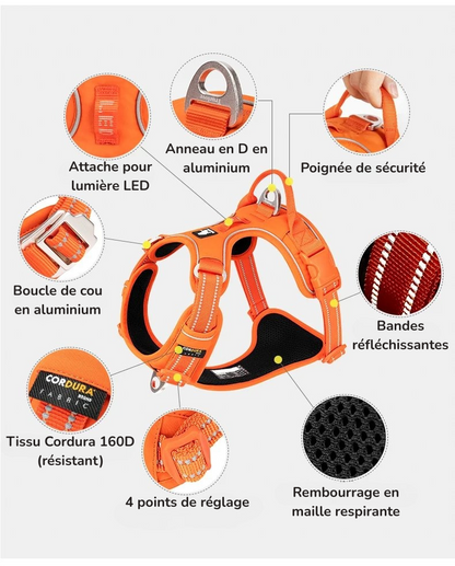 Harnais anti traction en Y Chien MonAmiFidèle