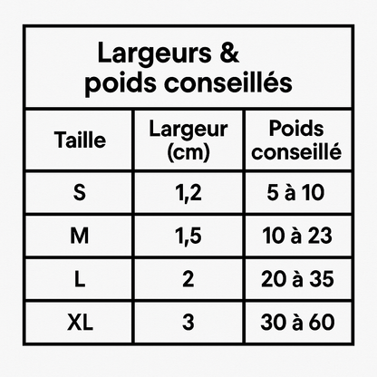 Laisse en nylon pour Chien MonAmiFidèle