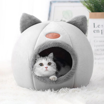 Igloo Chat MonAmiFidèle