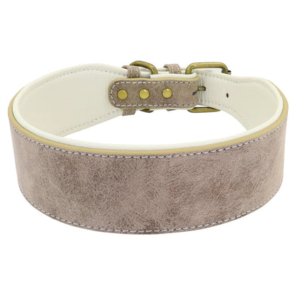 Collier en cuir pour Chien Large MonAmiFidèle