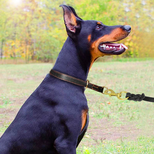 Collier coulissant Chien MonAmiFidèle