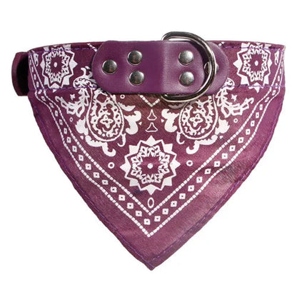 Collier bandana Chien MonAmiFidèle
