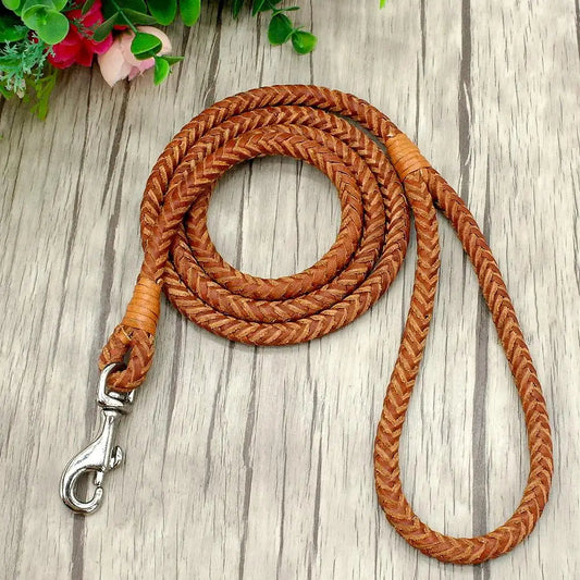 Laisse chien en Cuir tressé MonAmiFidèle