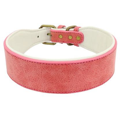 Collier en cuir pour Chien Large MonAmiFidèle