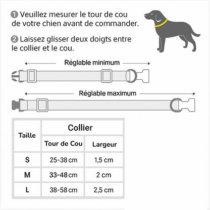 Collier pour Chien personnalisé en Cuir et Nylon MonAmiFidèle