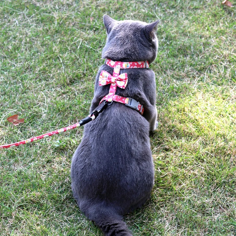 Harnais Laisse Chat Motif Fleur/Cerise MonAmiFidèle