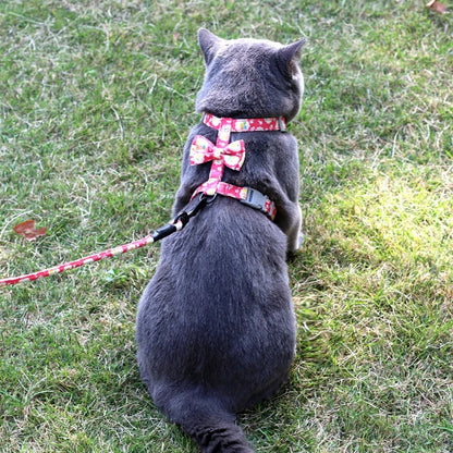 Harnais Laisse Chat Motif Fleur/Cerise MonAmiFidèle