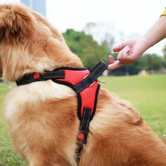 Harnais de Sécurité Chien MonAmiFidèle