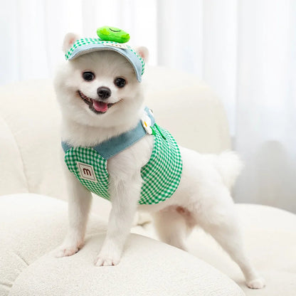 Harnais petit Chien ensemble 3 pièces MonAmiFidèle