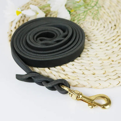 Laisse en cuir Chien MonAmiFidèle