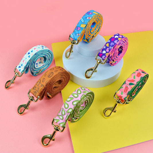 Laisse pour Chien avec motif MonAmiFidèle