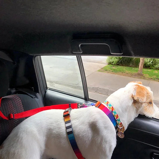 Laisse pour voiture pour Chien MonAmiFidèle