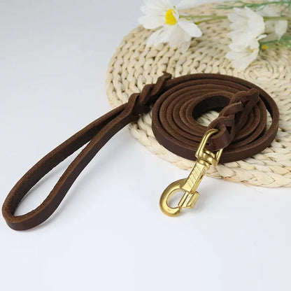 Laisse en cuir Chien MonAmiFidèle