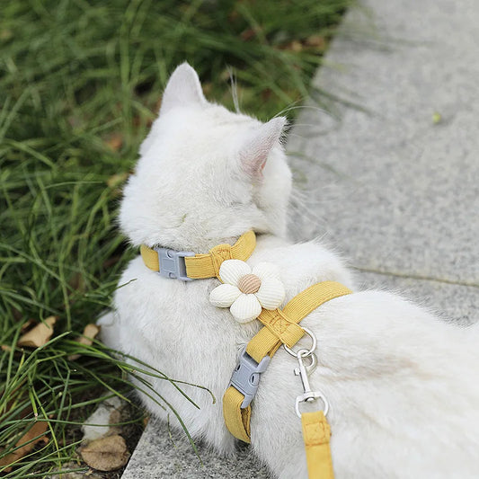 Harnais Laisse Chat Mignon MonAmiFidèle