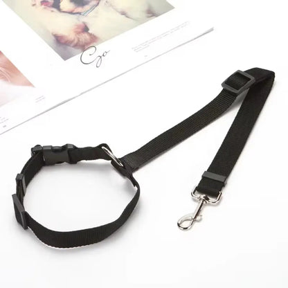 Laisse pour voiture pour Chien MonAmiFidèle