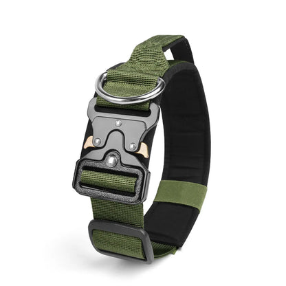 Collier pour gros Chien MonAmiFidèle