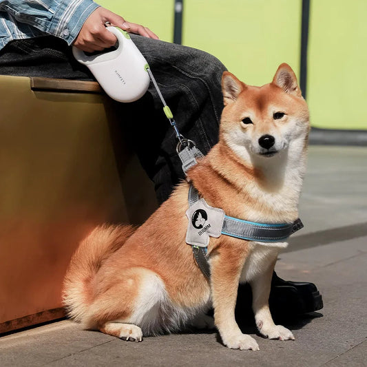 Laisse Rétractable pour Chien MonAmiFidèle