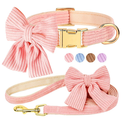 Collier et Laisse chien MonAmiFidèle
